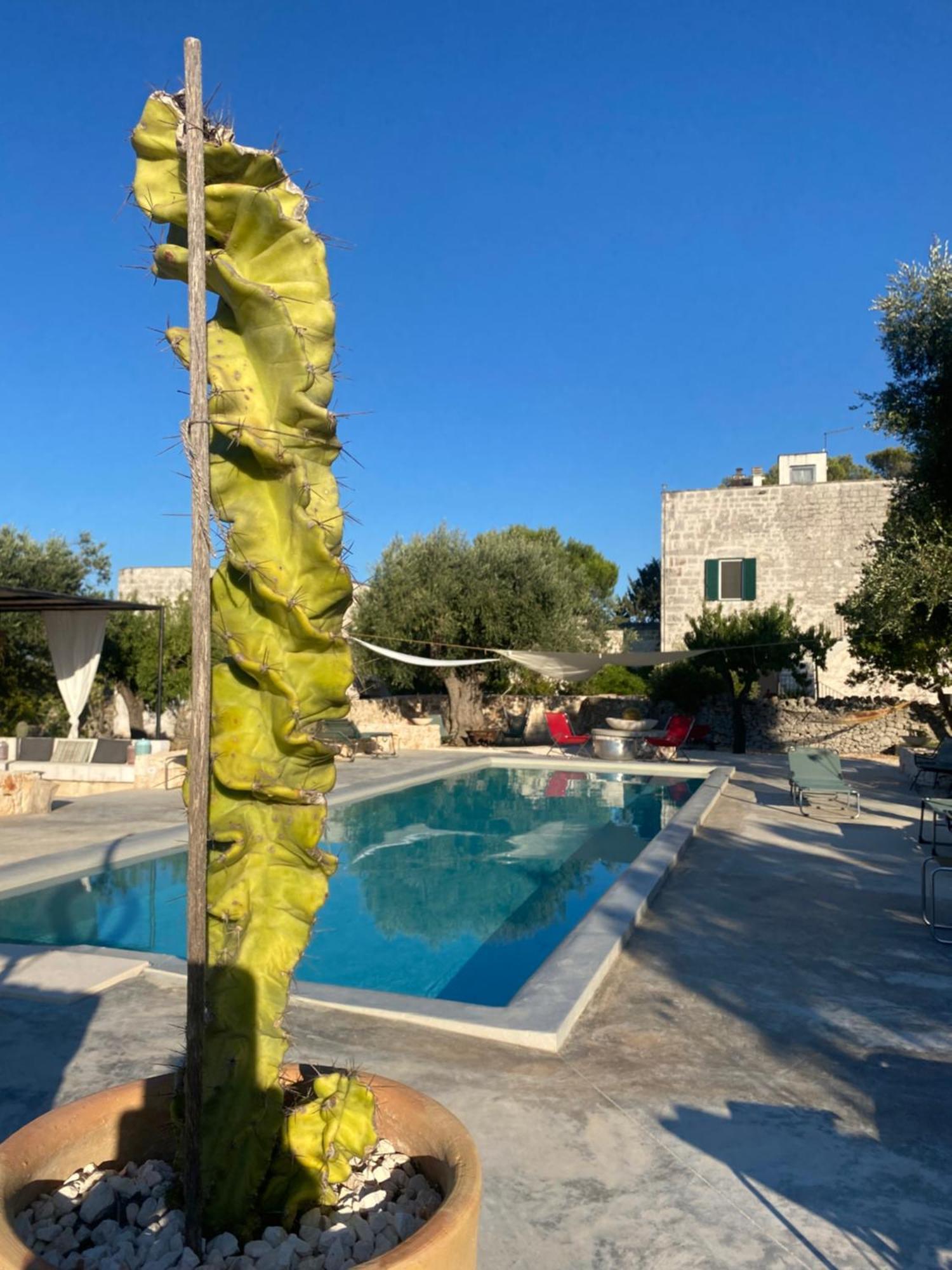 Masseria Serafino Ostuni Bagian luar foto